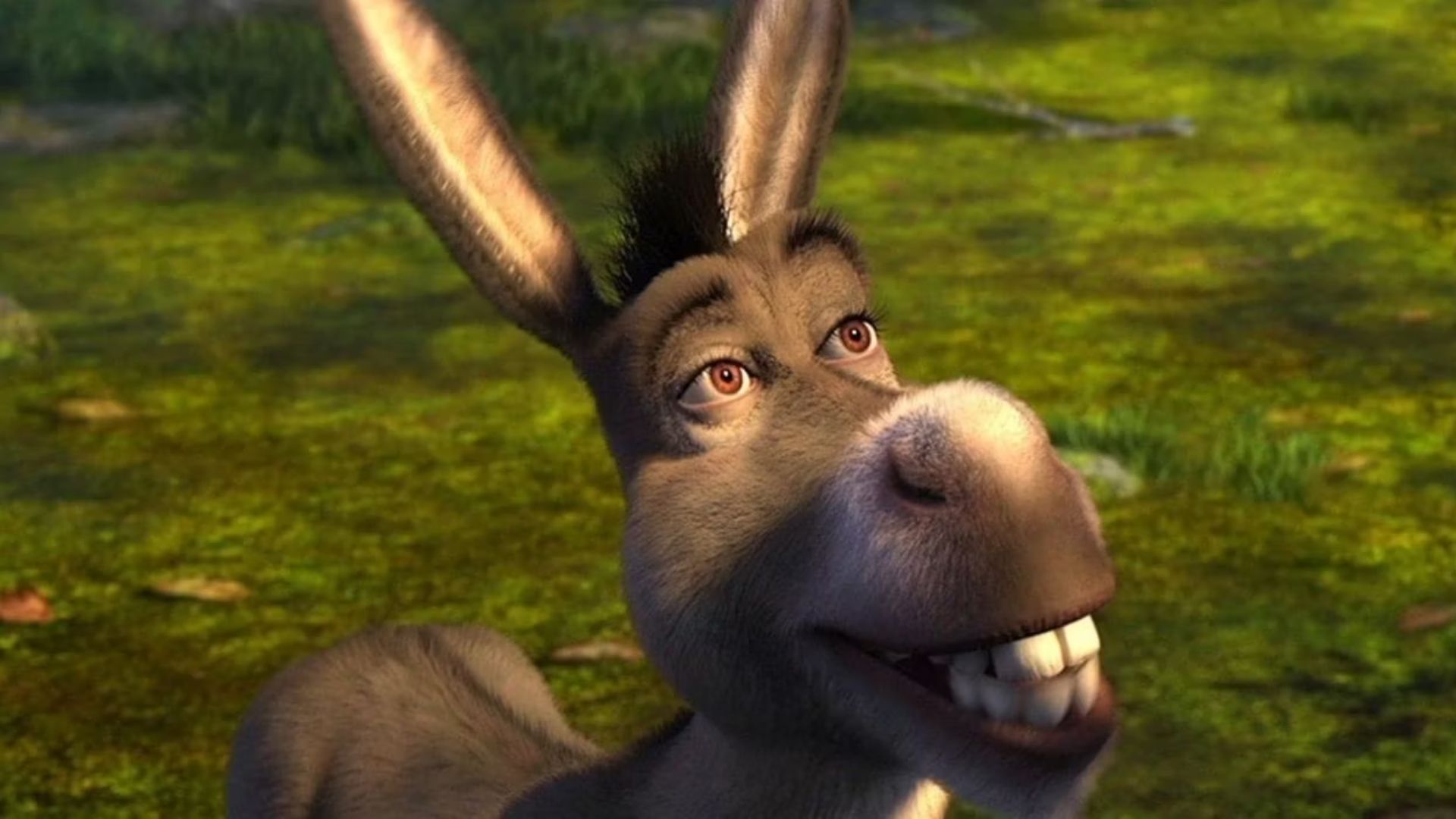 Eddie Murphy confirme à la fois Shrek 5 et un spin-off de Donkey