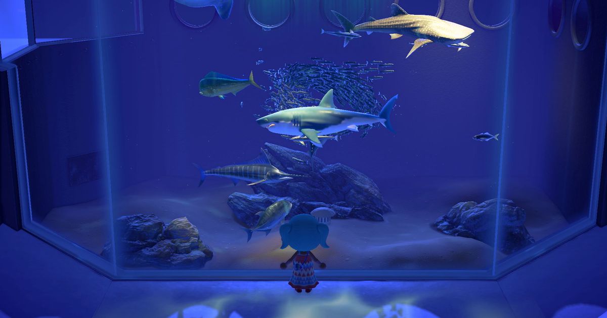 L'expérience de l'aquarium d'Animal Crossing est en tournée – voici comment cela fonctionne