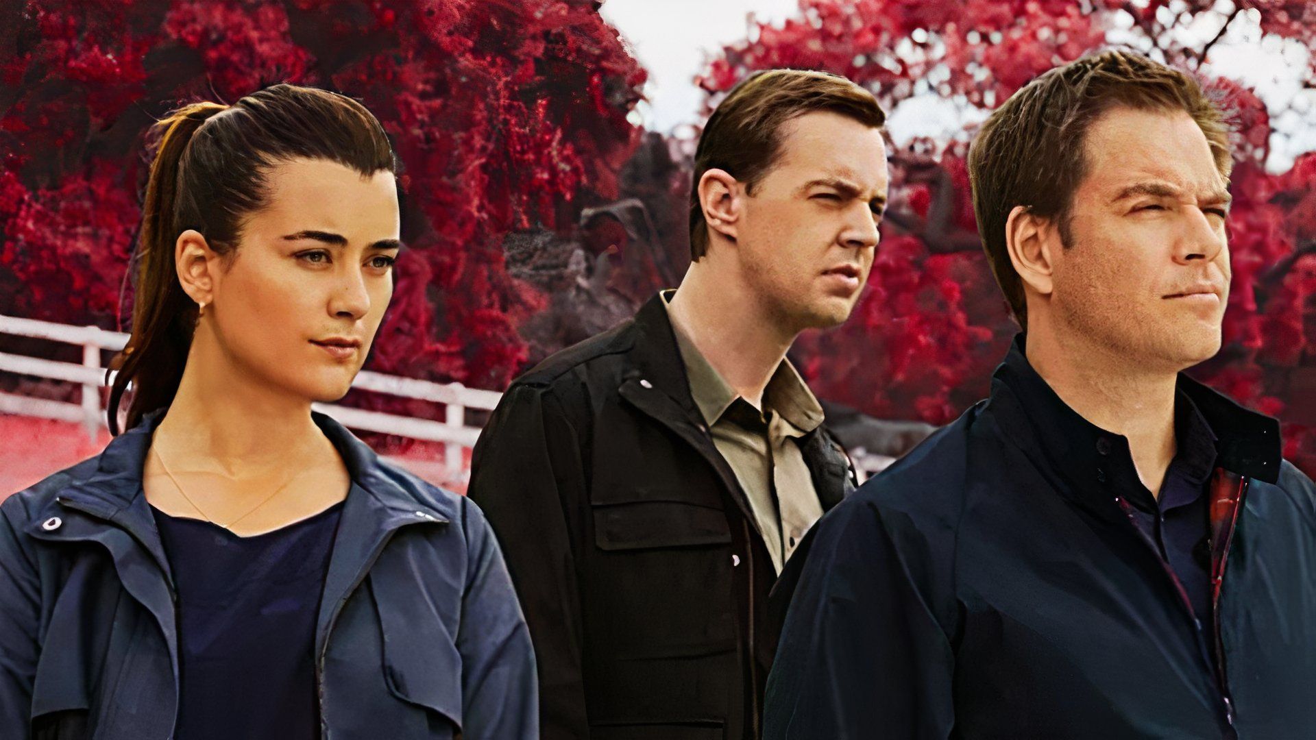 Tim McGee, Tony DiNozzo et Ziva David du NCIS se réunissent après une