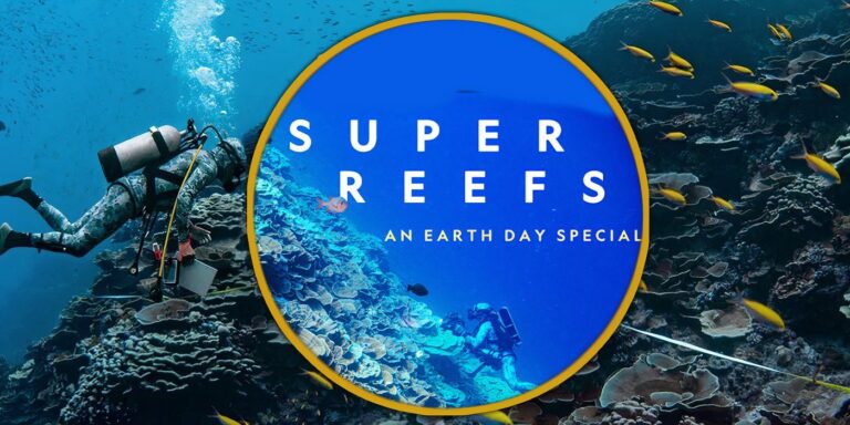 Écoutez la musique des super récifs de National Geographic avec des coulisses…