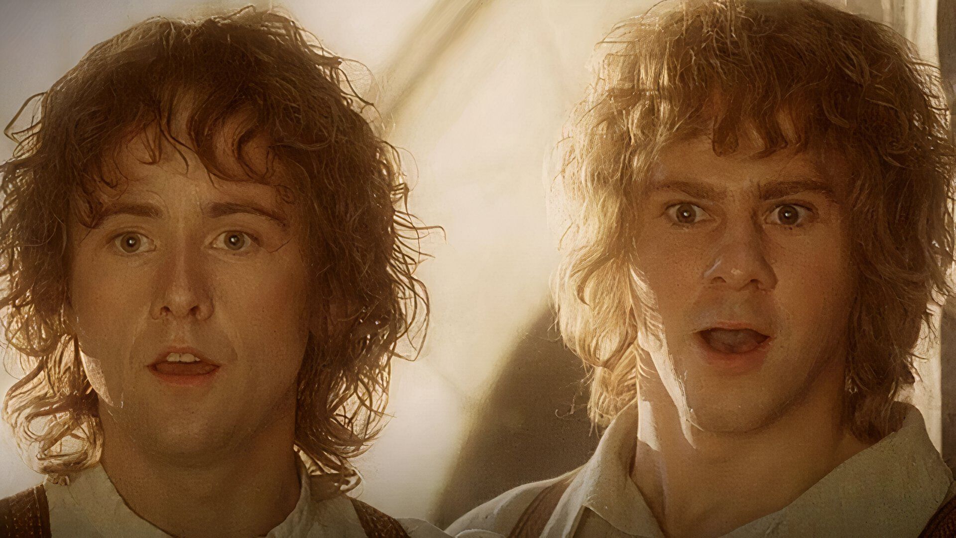 Billy et Dom Eat The World réunissent les Hobbits du Seigneur des Anneaux avec