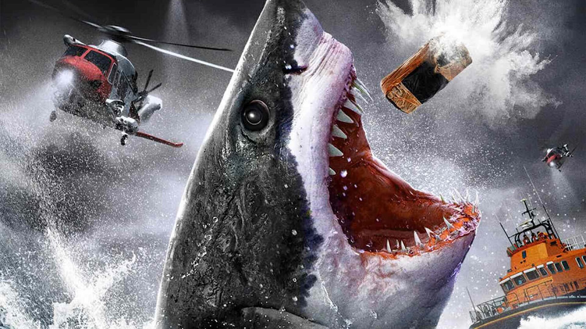 Des requins cocaïnomanes découverts dans les océans brésiliens