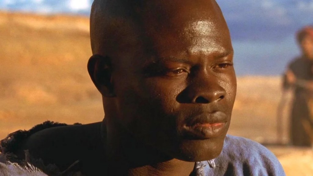 Djimon Hounsou