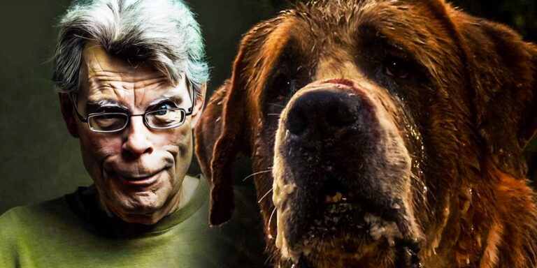 La suite de Cujo de Stephen King m'a enfin permis de tourner la page après 43 ans