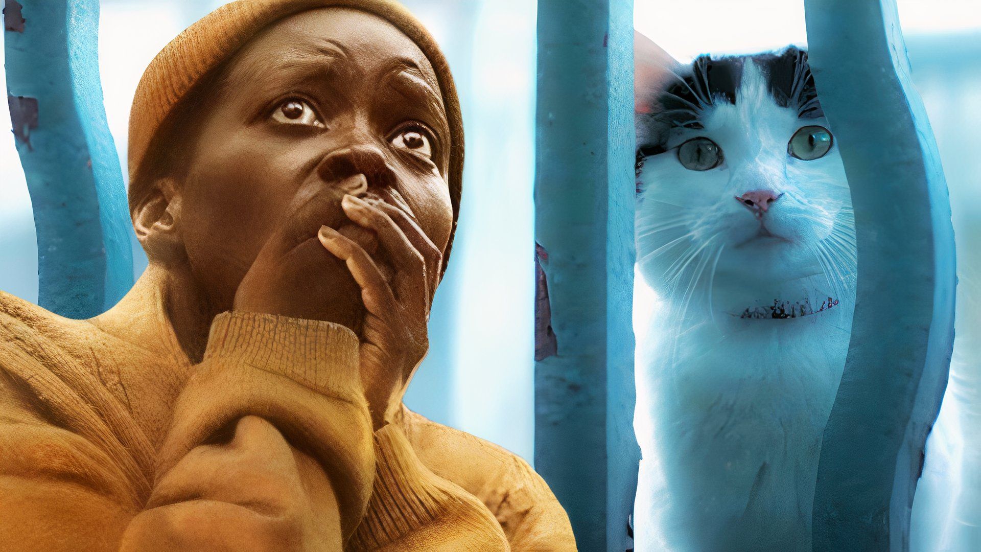 Le premier jour l'a aidée à surmonter sa peur des chats