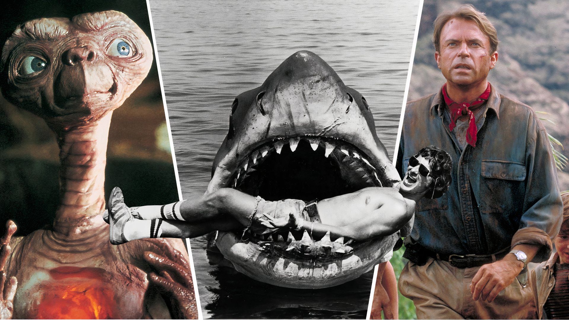 Les films de Steven Spielberg existent dans le même univers dans ce fan