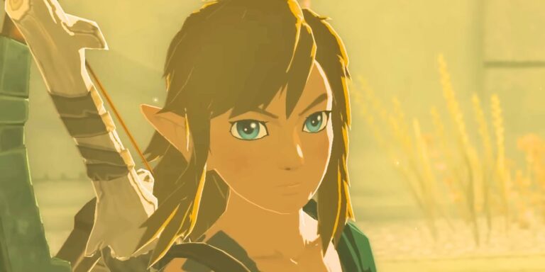 Quel âge a Link dans Zelda : Tears Of The Kingdom ?