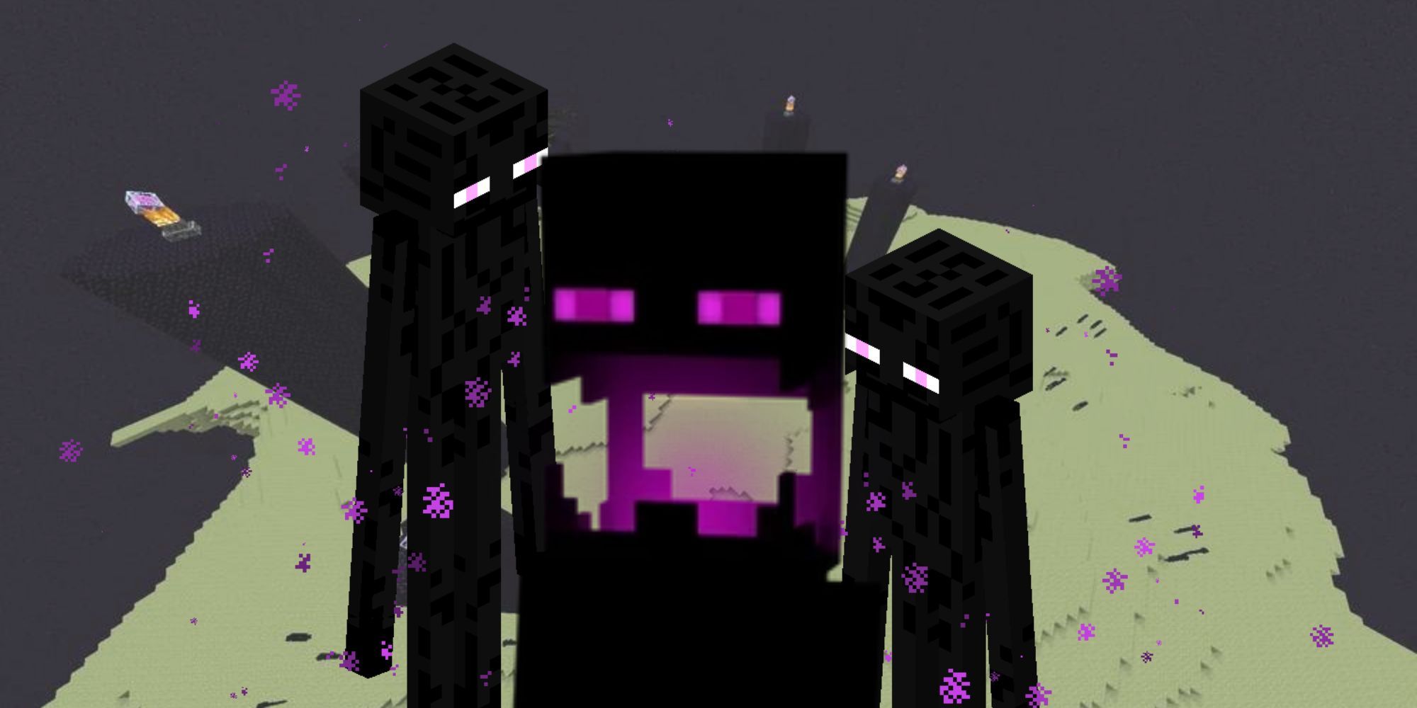 Un joueur de Minecraft trouve une option de biome dérangeante qui est presque impossible...