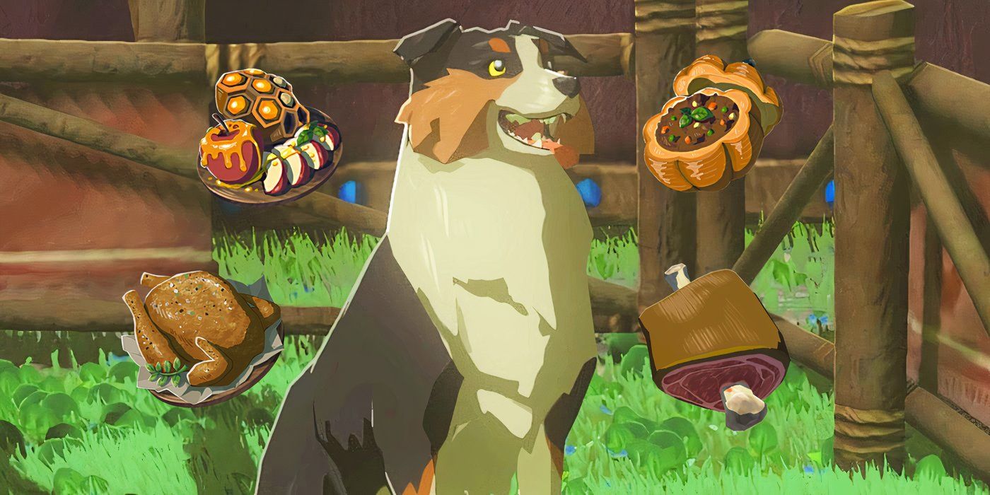 Un joueur de Zelda découvre un problème hilarant en nourrissant des chiens pour trouver un trésor...
