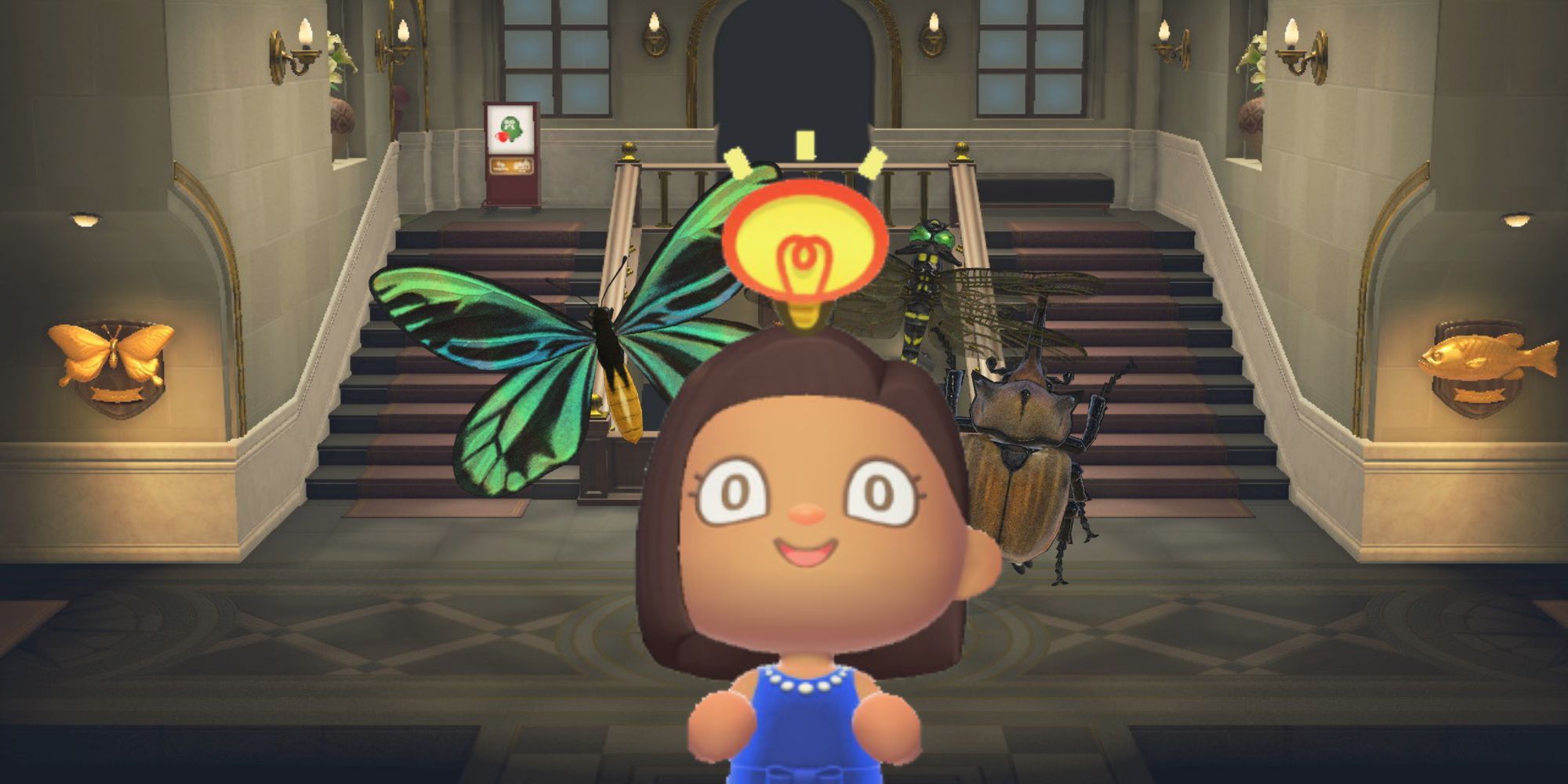Voici pourquoi certains joueurs d'Animal Crossing ne trouvent toujours pas certains B...