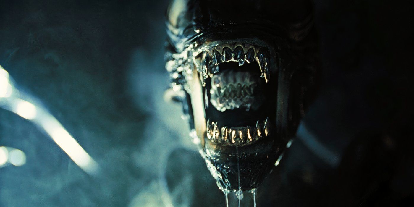 Alien : Le nouveau xénomorphe de Romulus expliqué : origine, différences et avenir