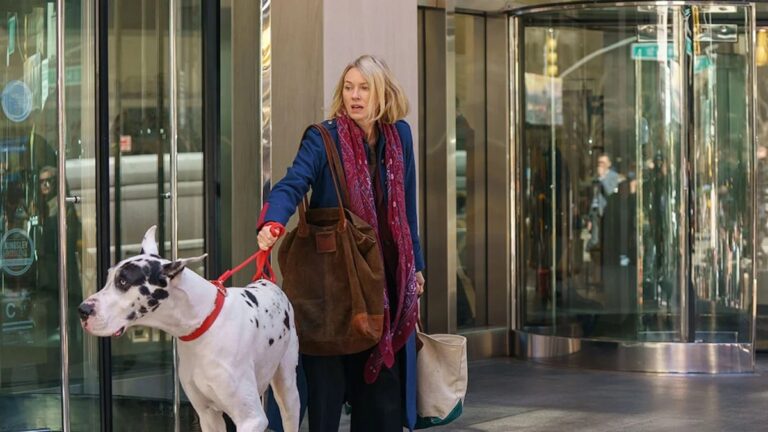 Critique de « The Friend » : Naomi Watts, Bill Murray et un gros chien explorent l'amour et la perte