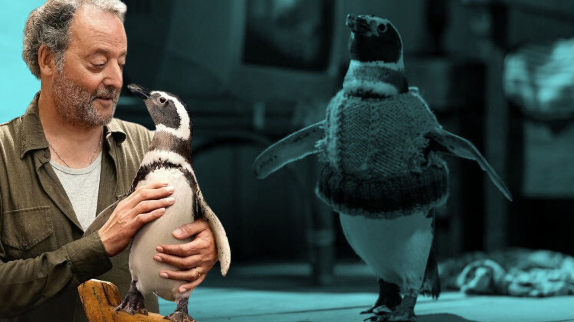 L'histoire vraie, charmante et émouvante, de mon ami pingouin,