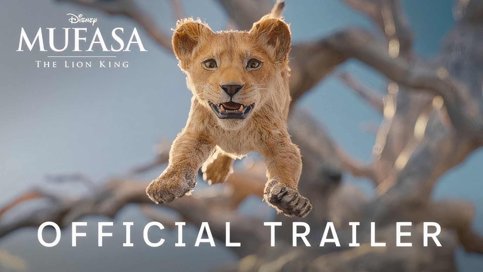 La bande-annonce de Mufasa le Roi Lion et sa nouvelle chanson de Lin-Manuel Miranda se terminent