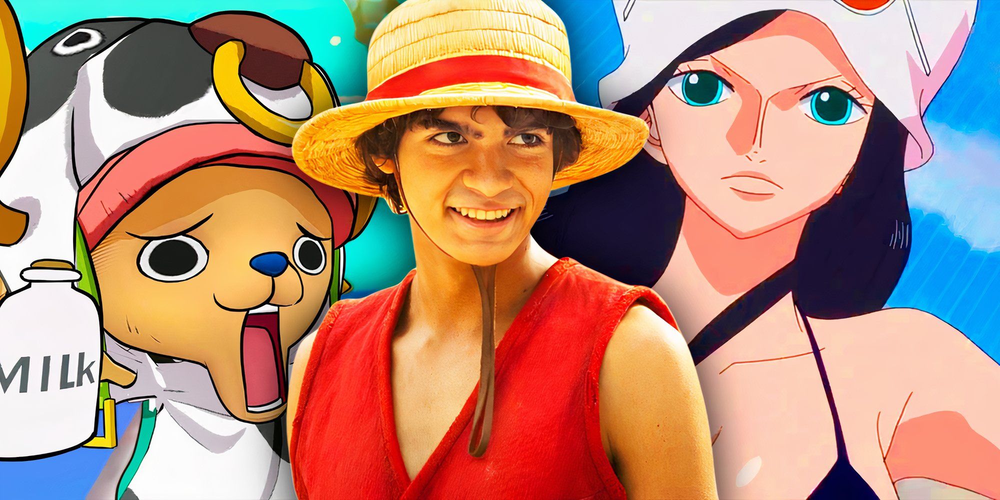 Le fancast le plus populaire de One Piece n'aura officiellement pas lieu (mais Netf...