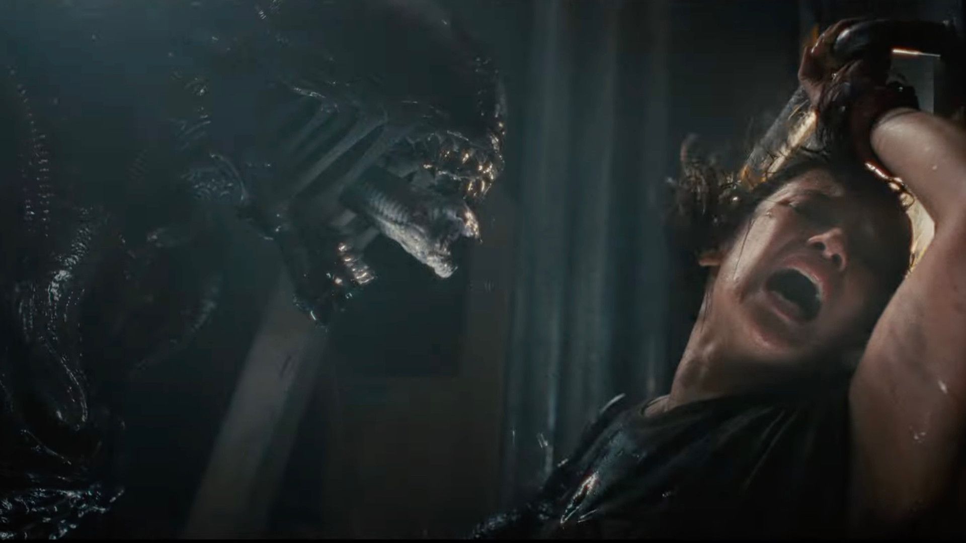 Le réalisateur de Romulus explique comment le film est passé d'un original Hulu à