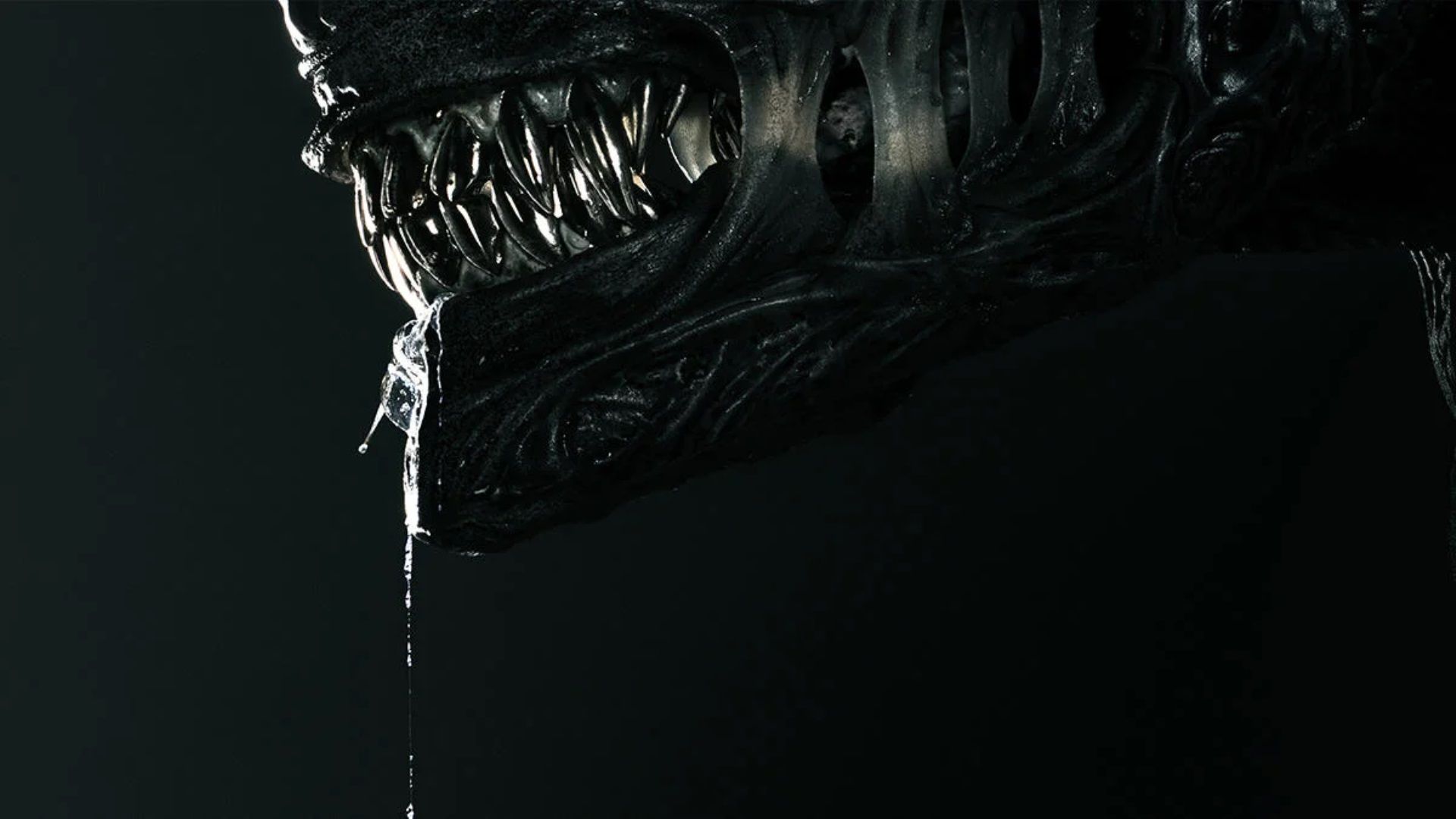 Le showrunner de Earth évoque un long avenir pour la série télévisée Xenomorph