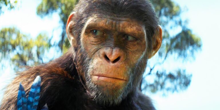 Oliver Stone a failli faire un film sur la Planète des Singes avec Schwarzenegge…