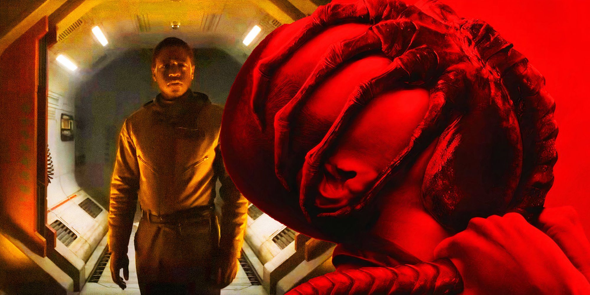 Prédire qui vit dans Alien : Romulus après tant de morts de personnages...