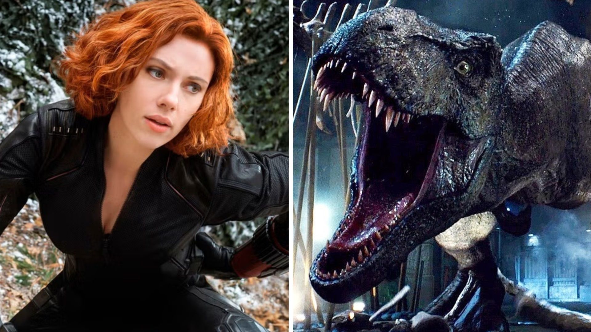Scarlett Johansson dévoile son rôle dans Jurassic World 4 et déclare son amour