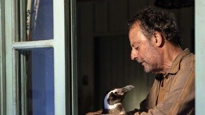 My Penguin Friend Avis critique du film (2024)