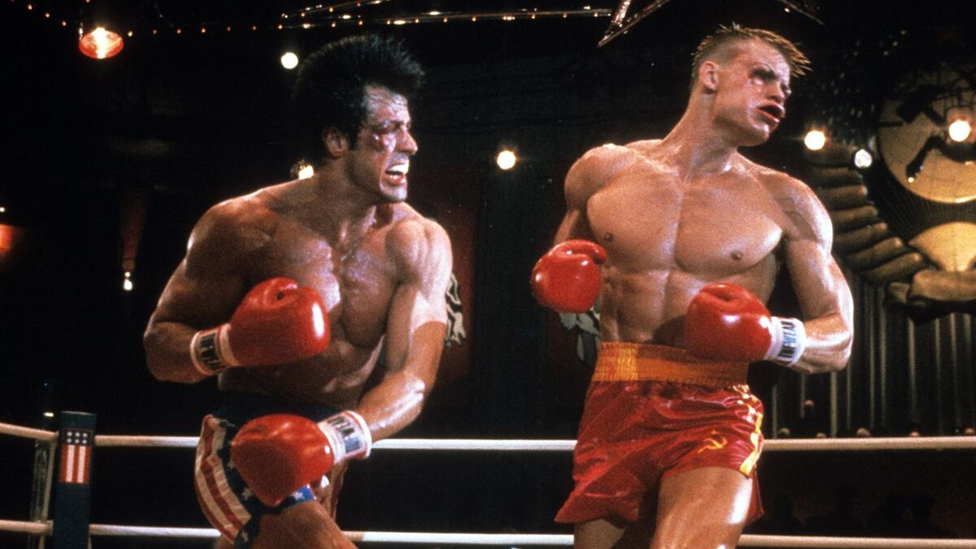 Sylvester Stallone nous offre des nouvelles passionnantes sur la série préquelle de Rocky