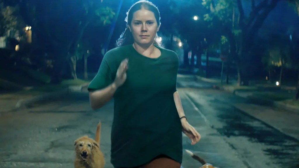 Amy Adams Nightbitch - Image