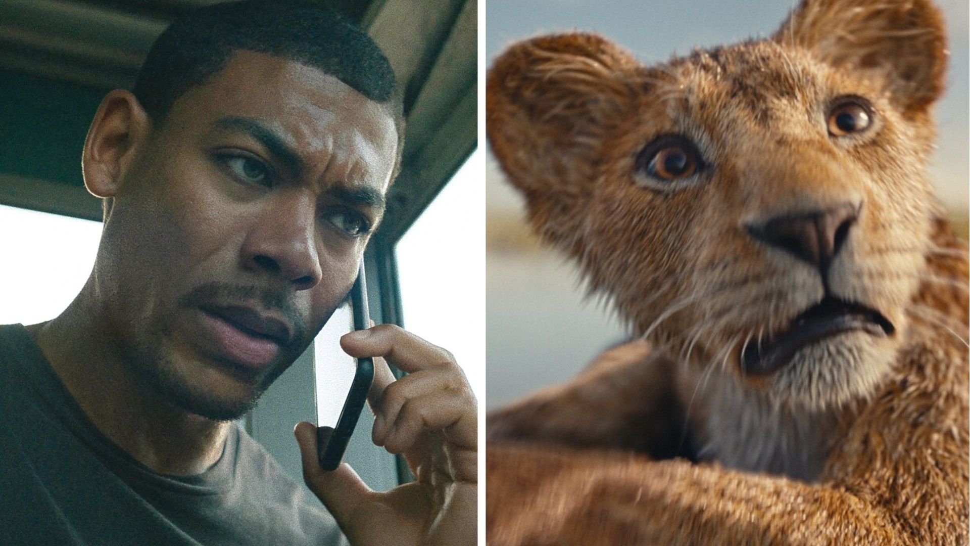 Aaron Pierre, acteur du Roi Lion, affirme que Rebel Ridge lui a appris des choses précieuses