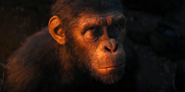 La trilogie Kingdom of The Planet of the Apes semble confirmée par…