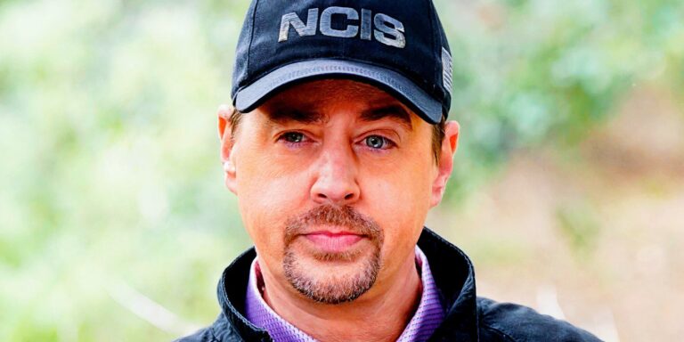 Le rapport de la saison 22 de NCIS laisse entrevoir un possible nouveau travail de McGee qui pourrait changer la donne