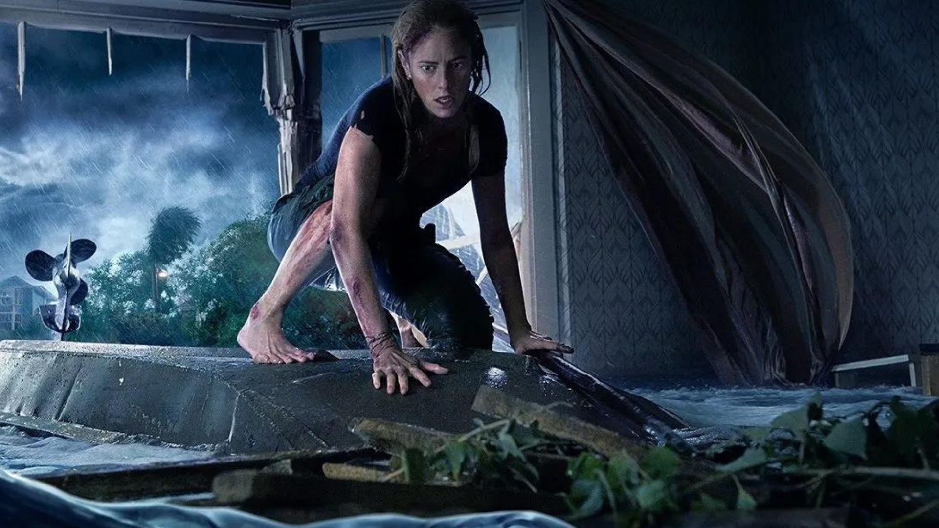Le réalisateur de Crawl 2 évoque « quelque chose de différent » dans le film Gator
