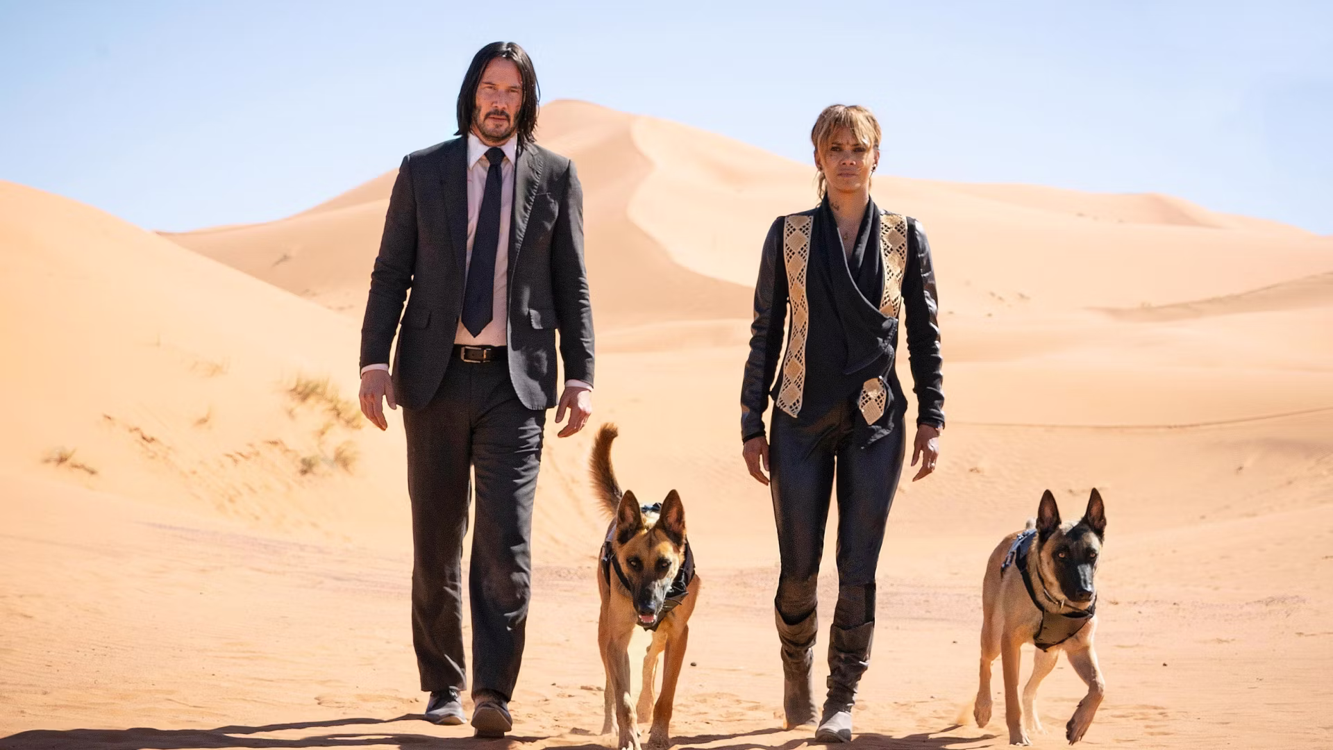 Le spin-off de John Wick de Halle Berry reçoit des nouvelles encourageantes de la part du