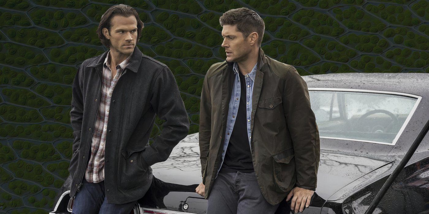 Le spin-off de Supernatural a réalisé une prophétie sur Impala 13 ans après sa sortie
