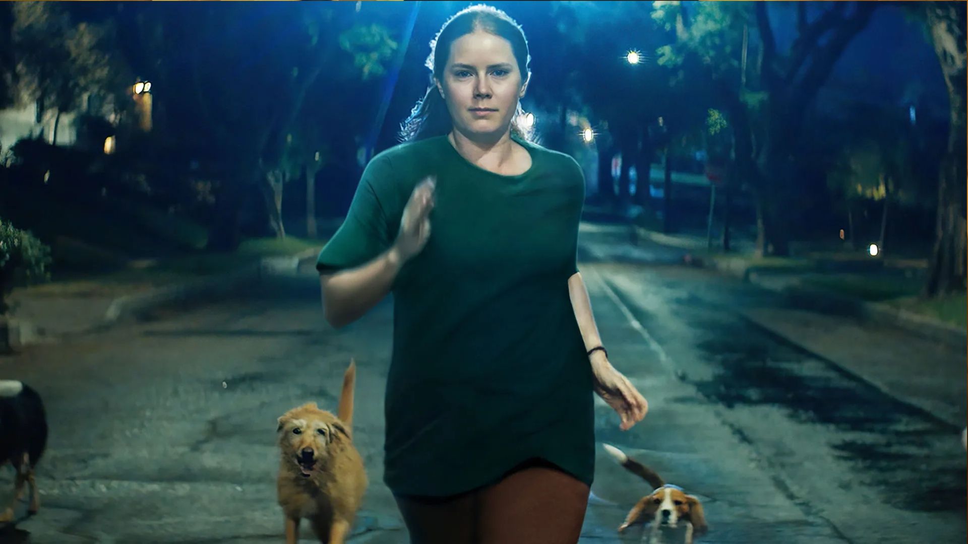 Les critiques de Rotten Tomatoes saluent « Ambitious » et « Unafraid » d'Amy Adams