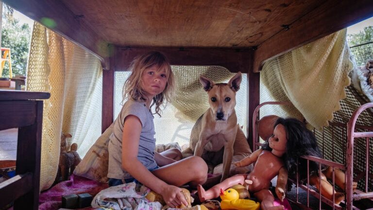 « N'allons pas chez les chiens ce soir » est distribué dans le monde entier par Sony Pictures Classics