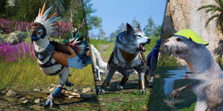 Trône et liberté : guide de transformation (types, progression et bonus)