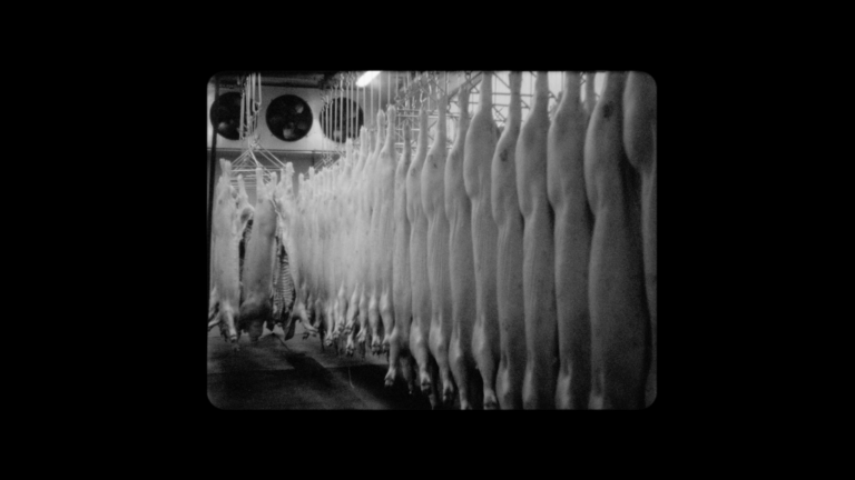 Short Films in Focus: Fleshwork (with Director Lydia Cornett) |