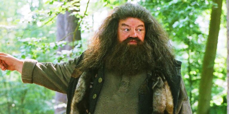 L'histoire de Hagrid la plus irréaliste de Harry Potter met en lumière un monde plus grand…