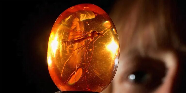 Le plus grand trou/erreur du complot scientifique de Jurassic Park confirmé par…