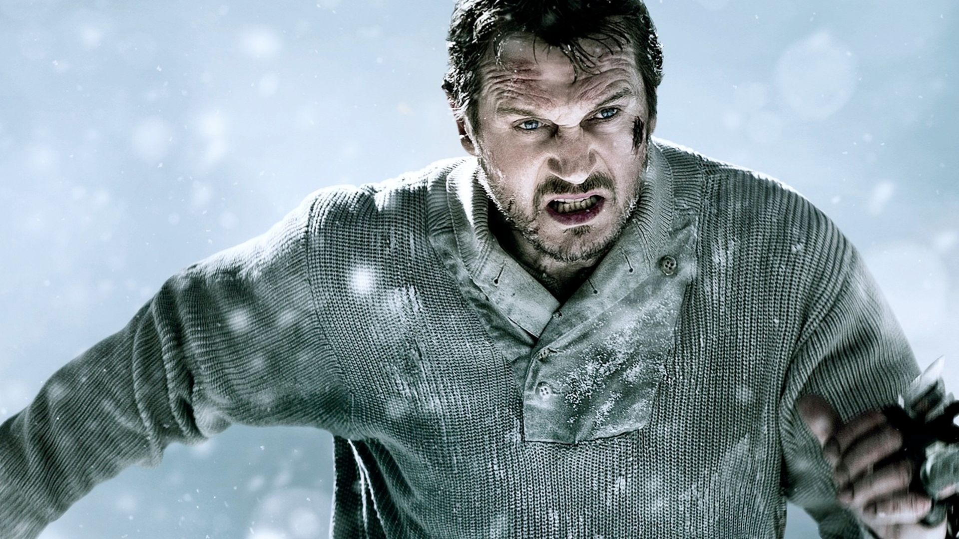 Le thriller d'action acclamé de Liam Neeson, The Grey, est disponible en streaming gratuit