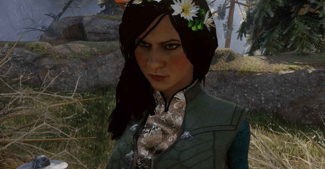 Mon replay de Dragon Age : Inquisition est parfait maintenant que j'ai trouvé cette couronne de fleurs rare