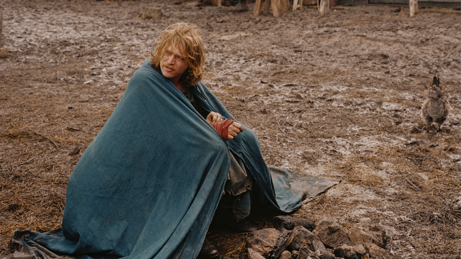NYFF Stranger Eyes Harvest Who By Fire Festivals