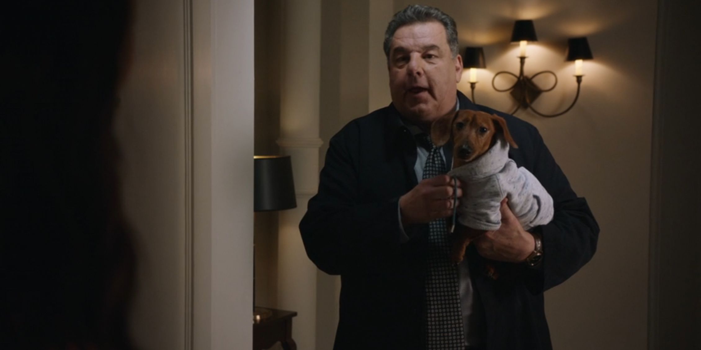 Qui est le nouveau chien d'Anthony dans Blue Bloods saison 14 épisode 11 ? Le Secr...