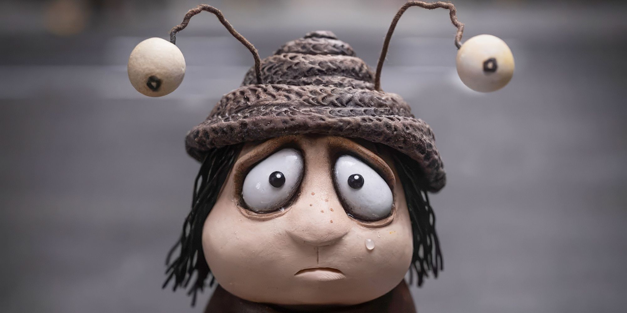 Revue de Memoir Of A Snail : le nouveau film stop-motion d'Adam Elliot fera...