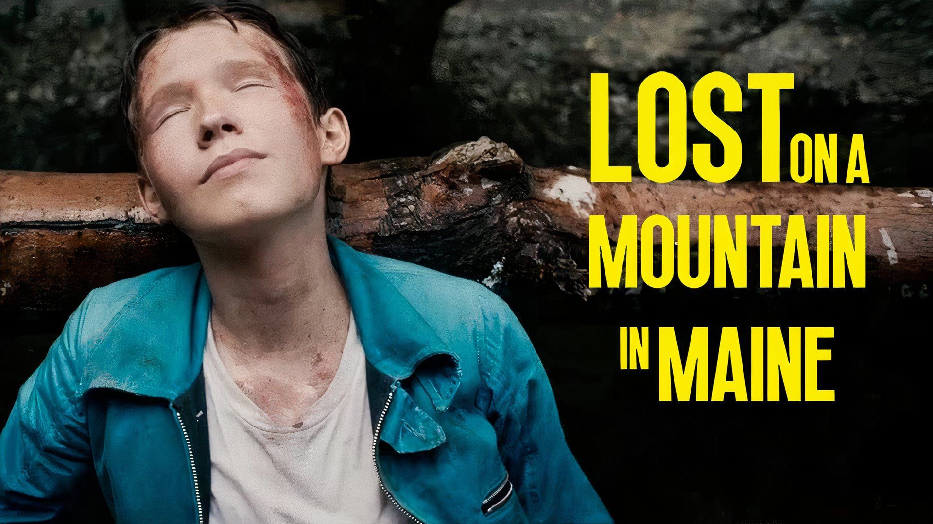 Revue de Perdu sur une montagne dans le Maine : un véritable drame de survie prévisible