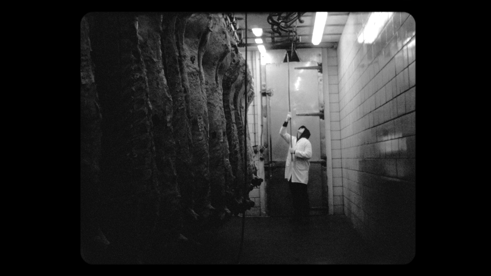 Short Films in Focus Fleshwork with Director Lydia Cornett