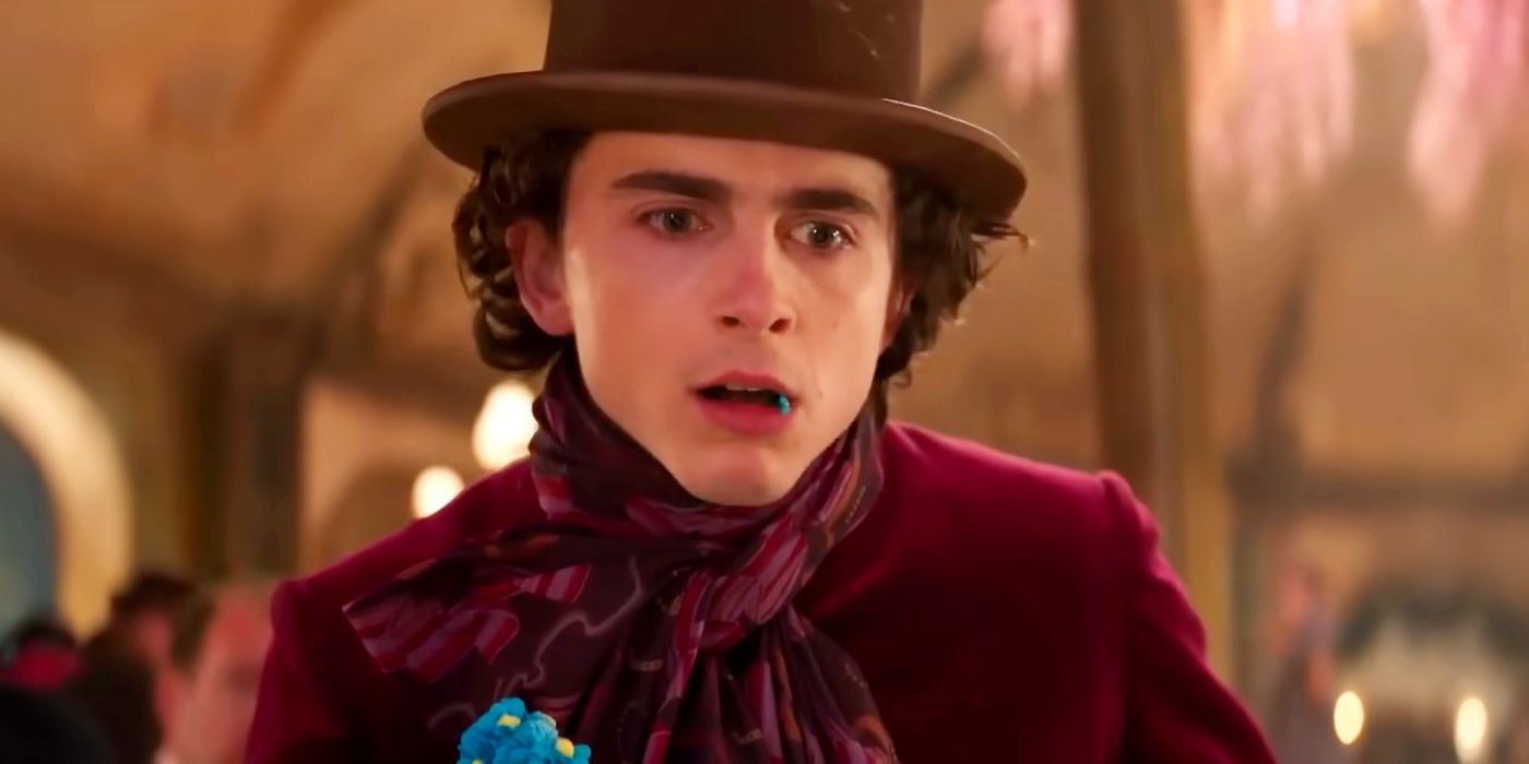 Timothée Chalamet fait une apparition surprise au looka...