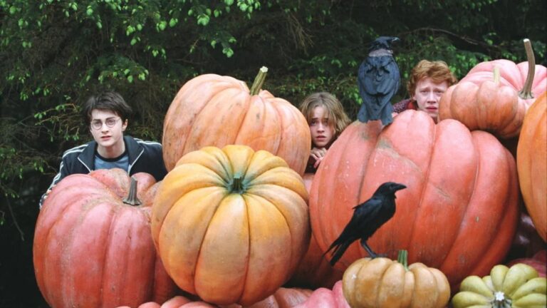 Voici les nouveaux films d’Halloween et d’horreur diffusés sur Peacock en octobre 2024