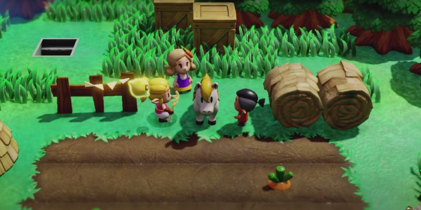 Zelda : Echoes Of Wisdom's White Horse a-t-il un nom ?