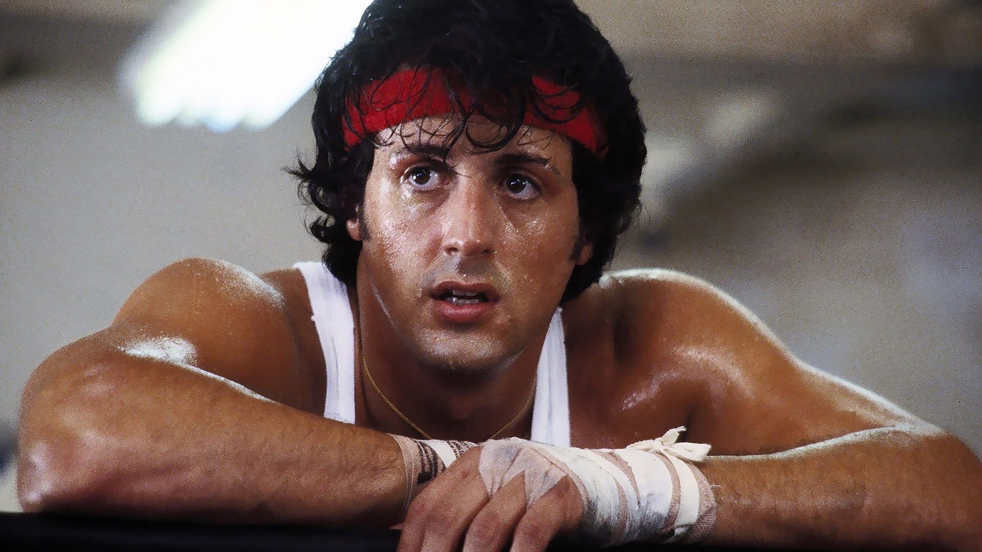10 films de Sylvester Stallone les plus rentables, classés